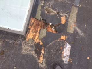 Common Roofing Problems